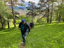 WP Orchideenexkursion Erlinsbach 2023-05-10 (2).jpeg