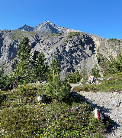 Ofenpass-Piz Daint-Buffalora.jpeg