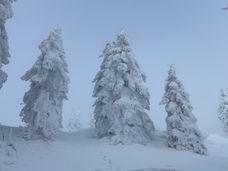 WP Rägeflüeli 2023-01-29 (3).jpeg