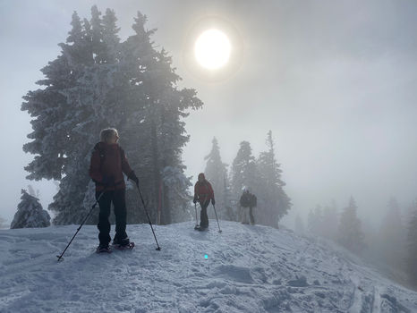 WP Rägeflüeli 2023-01-29 (4).jpeg