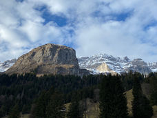 WP Yenstock 2023-01-08 (4).jpeg