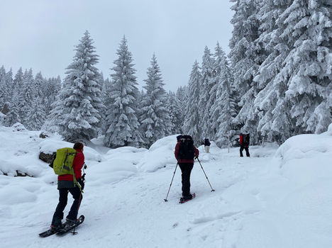 WP Rägeflüeli 2023-01-29 (1).jpeg