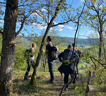 Kurze Wanderungen und Feierabendwanderungen mit Wander-Plausch; wandern in Kleingruppen; wandern mit Erläuterungen zur Natur; Frühlingswanderungen; Vögel beobachten;
