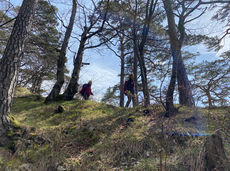 JUra-Trekking Tag 4_Oberbölchen-Waldenburg (1).jpeg