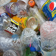 Empty Plastic Bottles