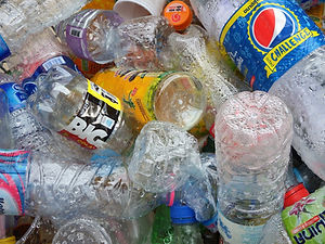 Empty Plastic Bottles