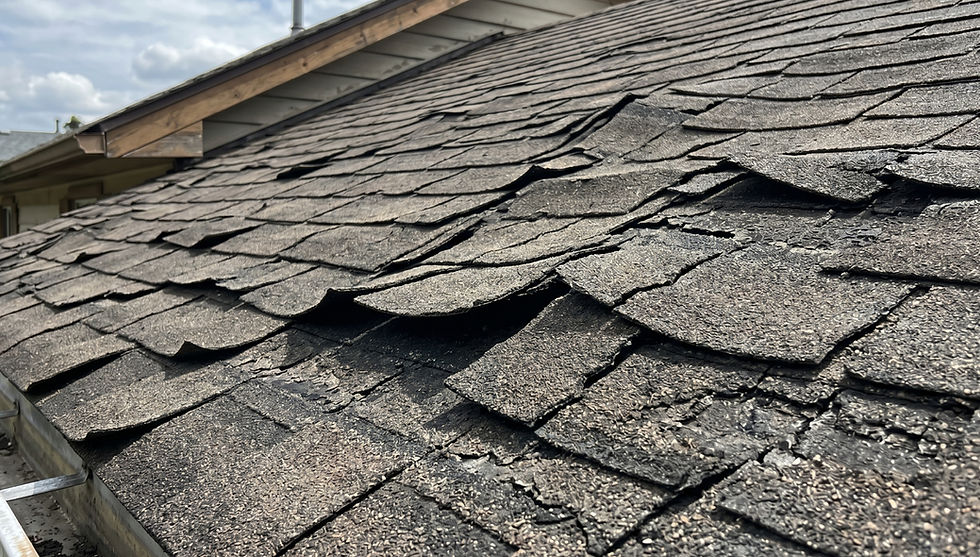 curling asphalt roof shingles with cracks showing roof ready for repair in Niagara