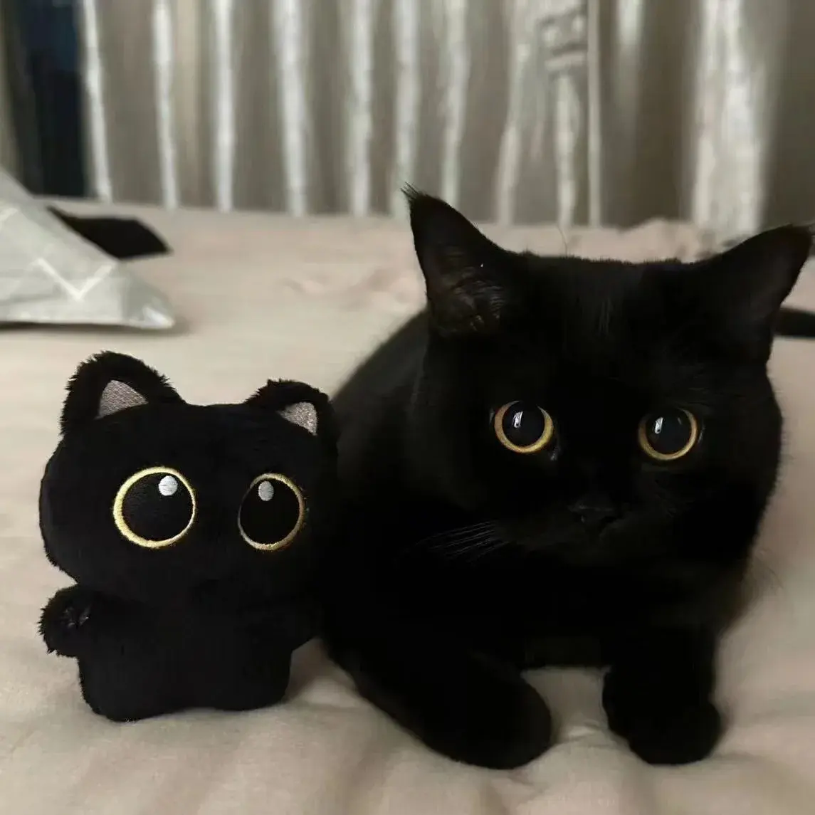 10cm Cute Black Cat plush toy Doll Small Pendant Cuddly Pillow Cushion Ins Black