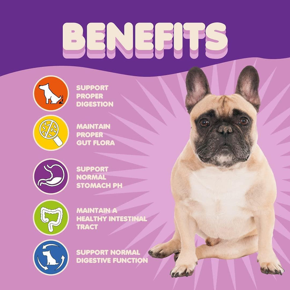 Thumbnail: Probiotics for Dogs Puppies Extra Strength 9 Species 5 Billion CFU per Scoop of