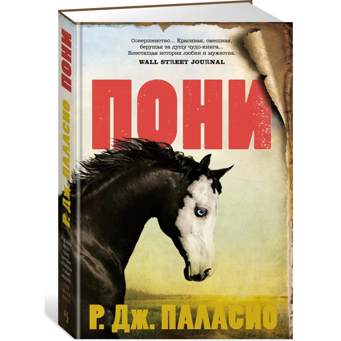 Пони