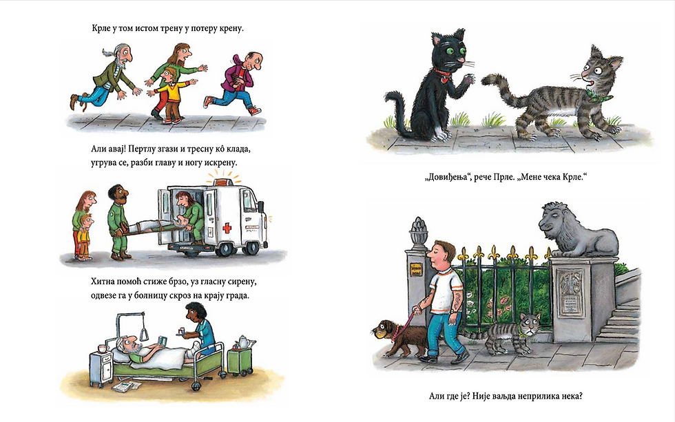 Миниатюра: Пругасти Прле