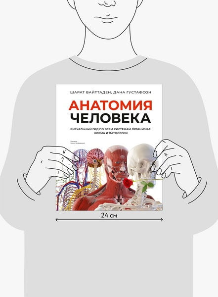 Миниатюра: Анатомия человека