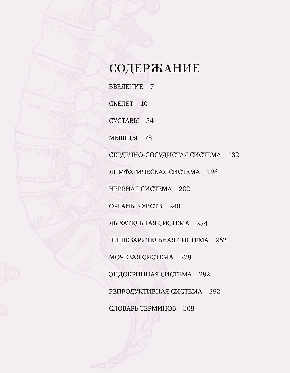 Миниатюра: Анатомия