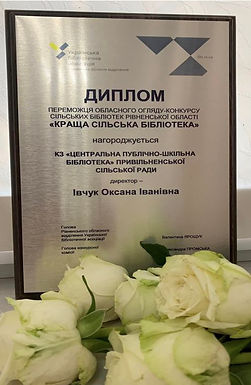ДИПЛОМ.JPG