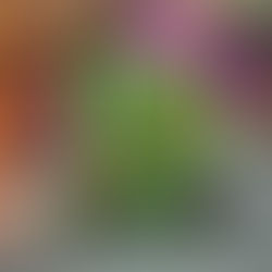 Новая жидкость от Lemon Twist