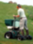 Fertilizer.jpeg