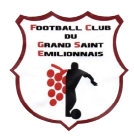 logo_gd_st_em-removebg-preview (1)_edited.webp