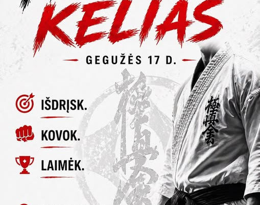 VKL 4 etapas