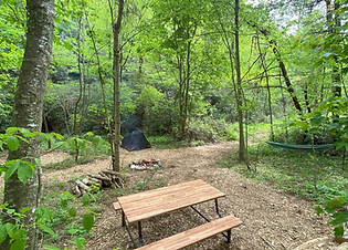 Picnic table, fire ring and room for 2-3 tents