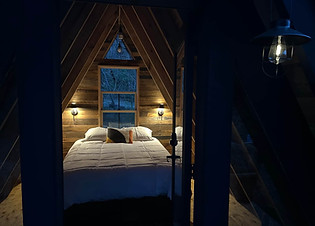 Woodland sanctuary in the mountains