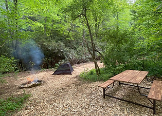 Lots of room by the creek