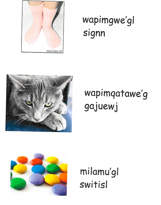 Talamu'g - All colors