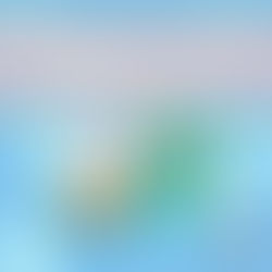 Permission Slip to Leave AGS for Lunch