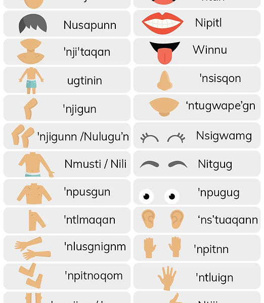 'Ntinin - Body Parts V2