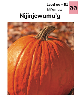 Nijinjewamu’g