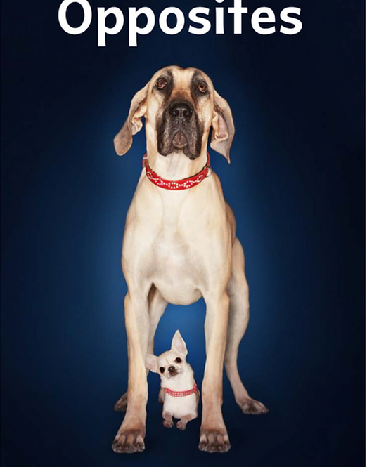 Tetpaqaltigl  / Astue′gl / Etuoqtegl