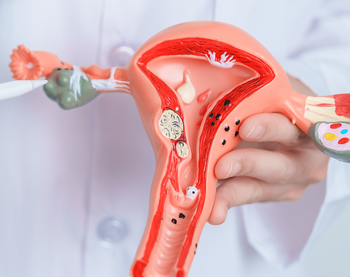 Azalmış Over (Yumurtalık) Rezervi