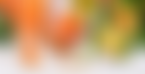 somon, kırmızı biber, domates, avokado, zeytin, brokoli, ceviz sarımsak, badem