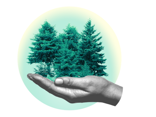 Carácter político de los bosques