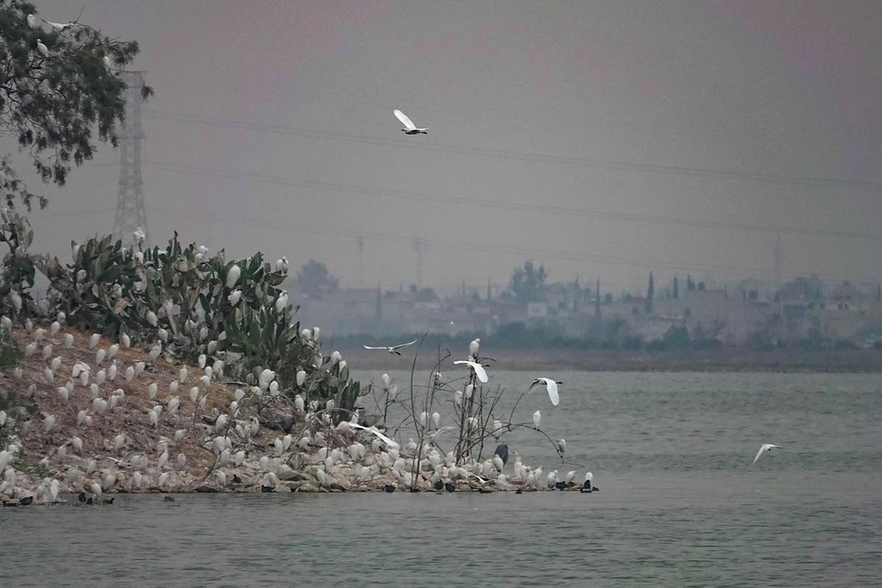 Imágen. Por unanimidad en distintas votaciones, se aprobaron los proyectos de la ministra Sara Irene Herrerías Guerra y el ministro presidente Hugo Aguilar Ortiz. Foto: Cuartoscuro / Archivo