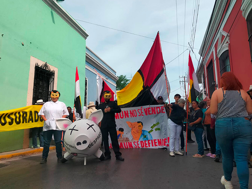 ¡Adiós a la megagranja de cerdos de Homún! Sentencia histórica revoca permisos ambientales a la porcícola