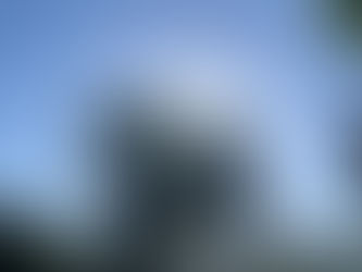 お客様の声を聴かせていただきました