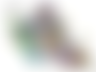 ハワイの文化 アフプアア