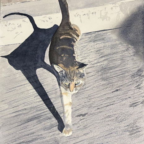 Stepping out
2026-01-03
16" x 12"