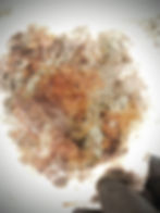 Thumbnail: F0 Mineral Stained Muscovite