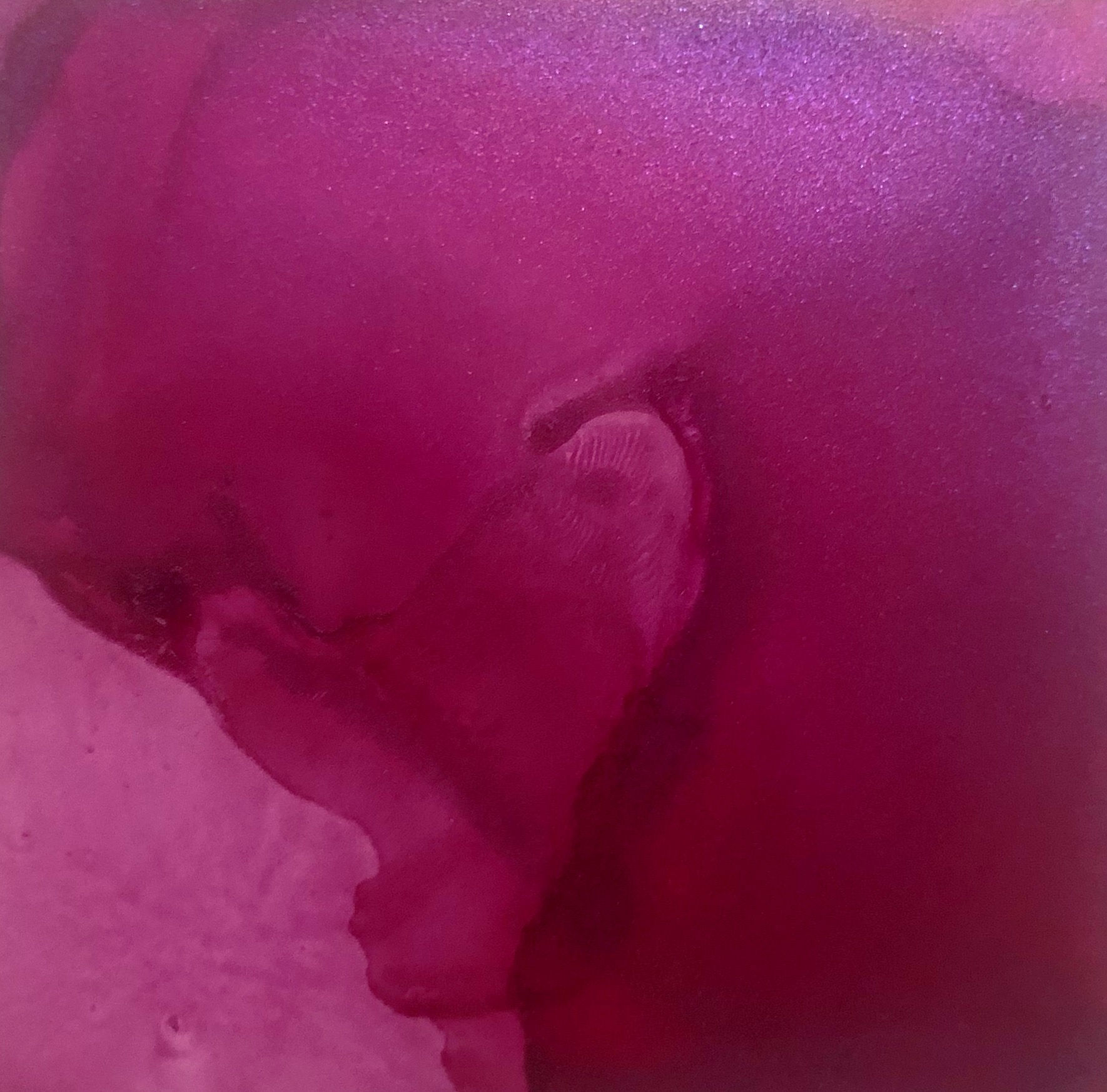 A42 Electric Berry Purple