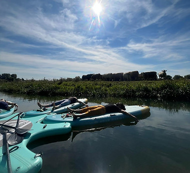 WhatsApp Image 2024-05-21 at 09.30.45.jpeg