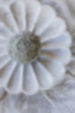 Cerveau Bleu
Pâte persillé au lait cru de vache