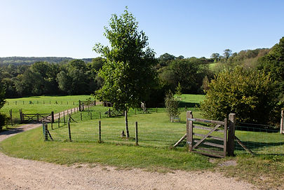 Vobster Farm. Sept 2020-273.jpg