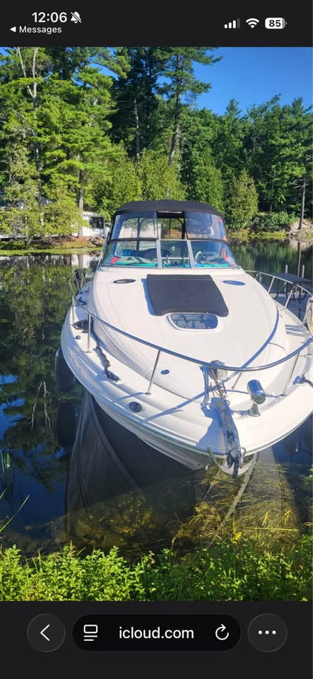 Miniature : Sea Ray 340 2003