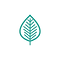 Logo Solo Hoja.png