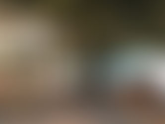 Conciergerie de luxe dans le Luberon et à L’Isle-sur-la-Sorgue : l’art de vivre provençal sur mesure.