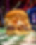 476923729_2090606648065754_1823326851674056511_n.jpg