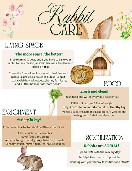 Rabbit Care.png