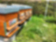 IMG20230518131503_edited.jpg