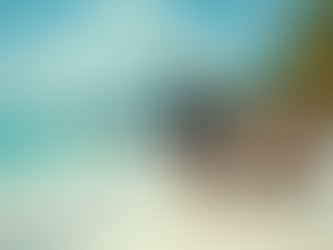 The Bahamas Film Industry: Current Bahamas Film Trends